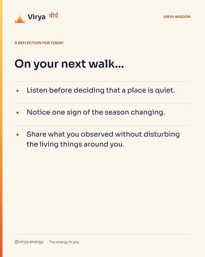 Ivory Virya card, a reflection for today. On your next walk… Listen before deciding that a place is quiet. Notice one sign of the season changing. Share what you observed without disturbing the living things around you.