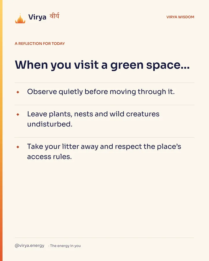 Ivory Virya card, a reflection for today. When you visit a green space… Observe quietly before moving through it. Leave plants, nests and wild creatures undisturbed. Take your litter away and respect the place’s access rules.