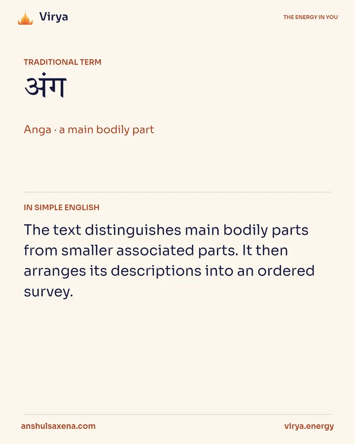 How the text maps the body, card 2 of 5