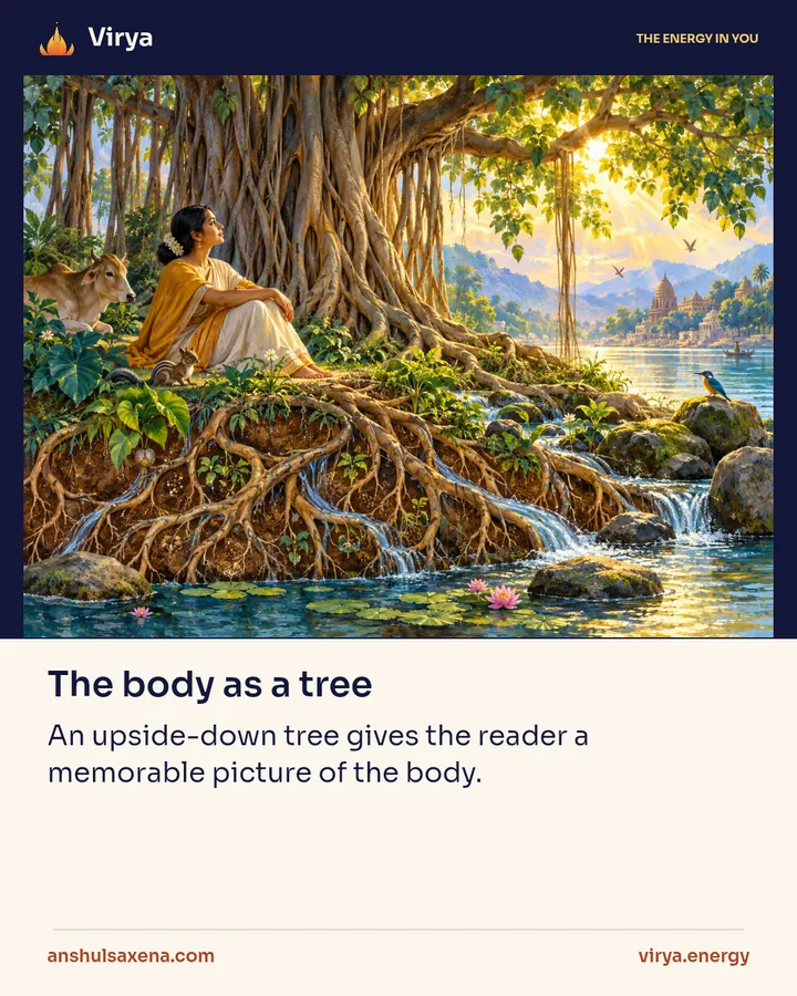 The body as a tree, card 1 of 6