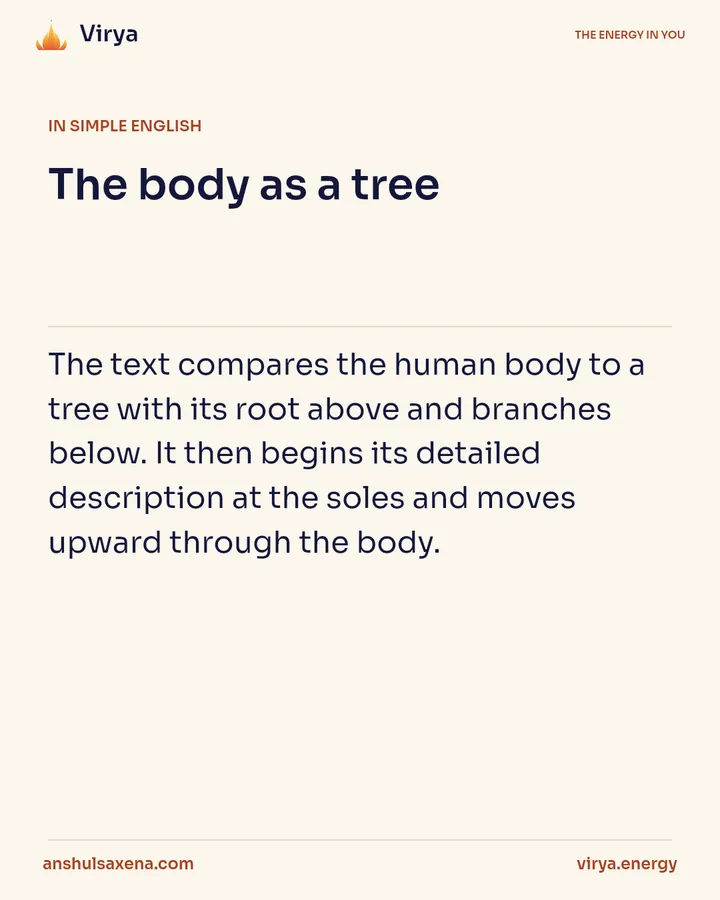 The body as a tree, card 3 of 6
