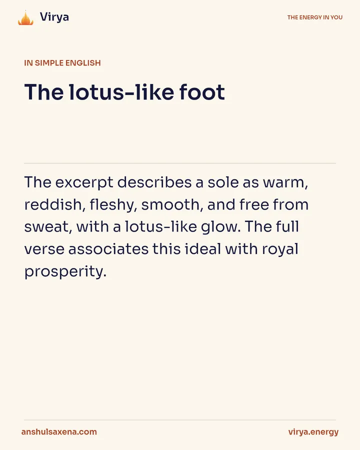 The lotus-like foot, card 3 of 6