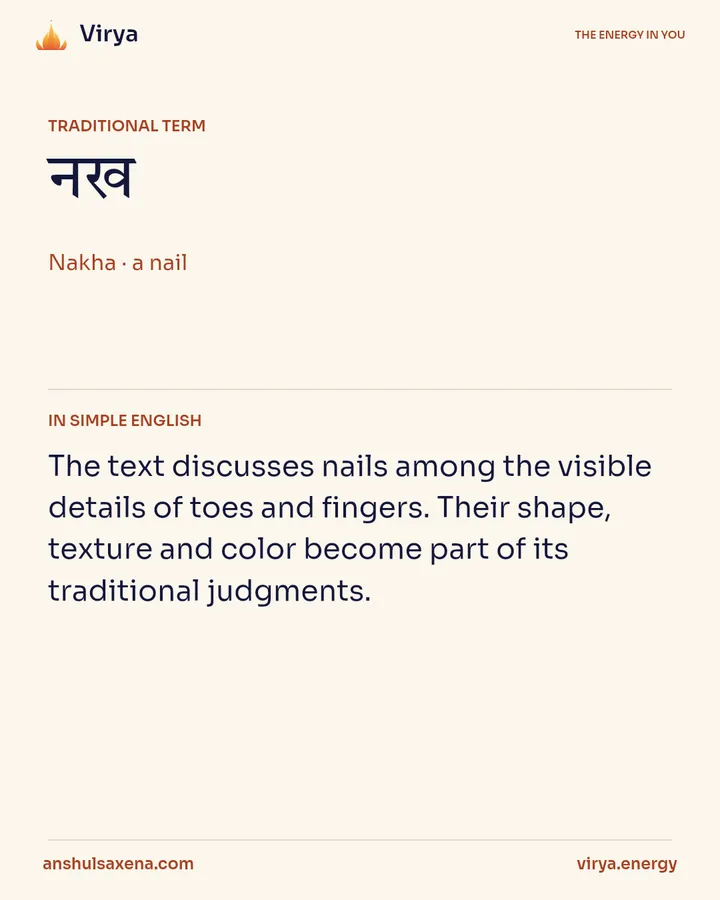 The meaning assigned to nails, card 2 of 5