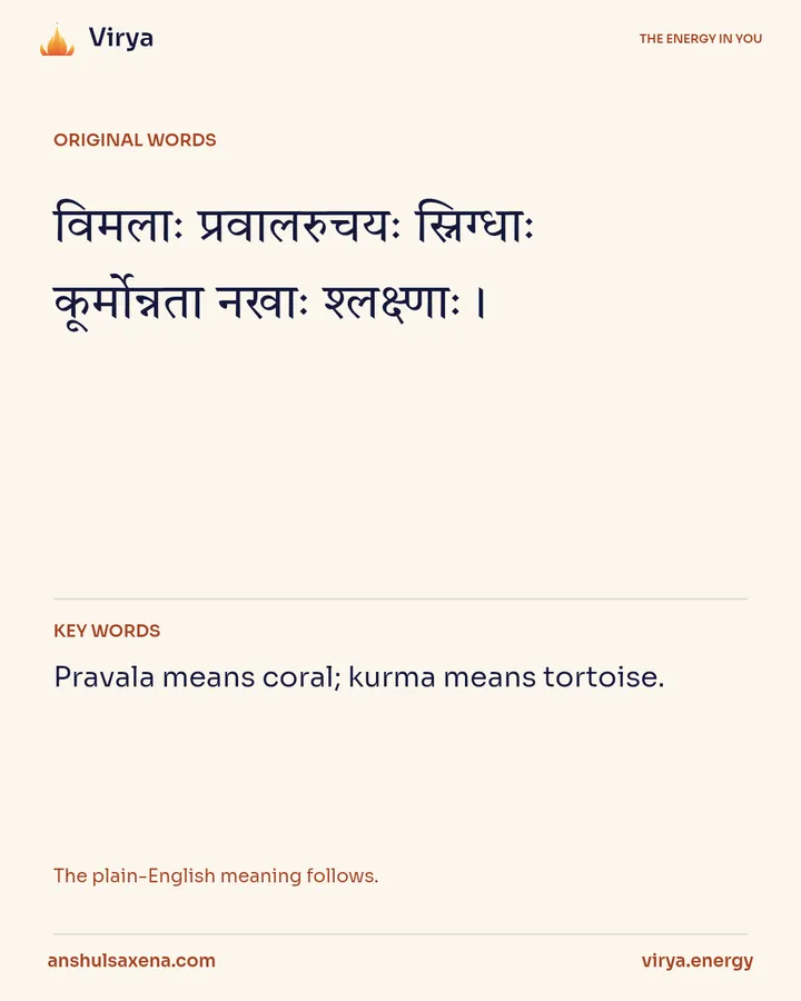Nails in the old vocabulary, card 2 of 6