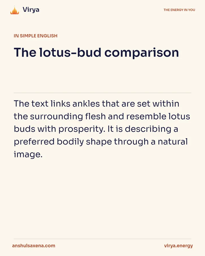 The lotus-bud comparison, card 3 of 6