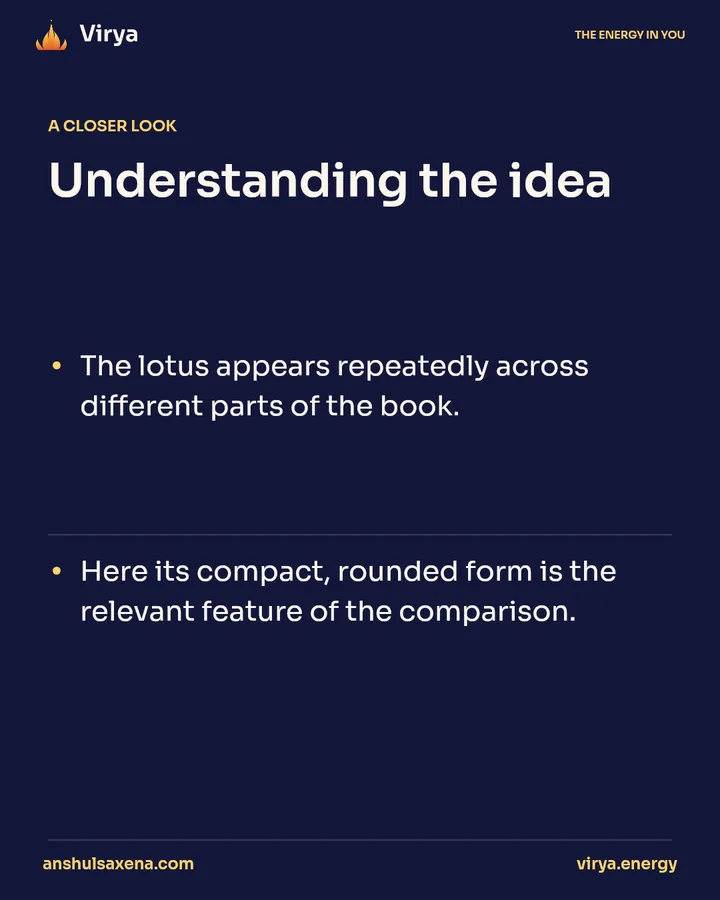 The lotus-bud comparison, card 4 of 6