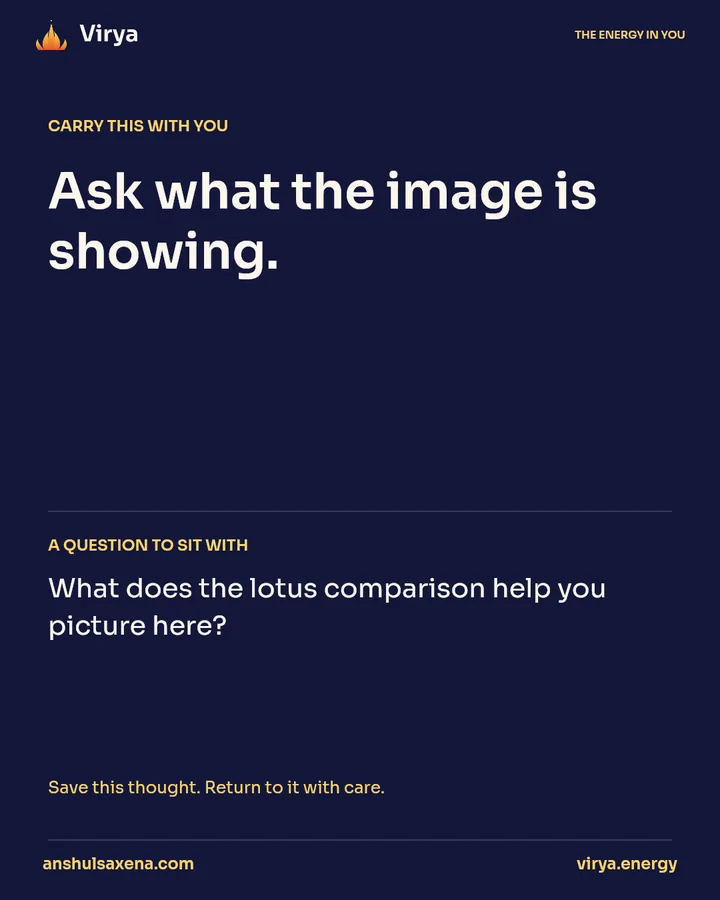 The lotus-bud comparison, card 6 of 6