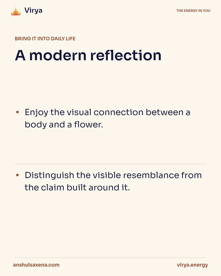 The lotus at the center, card 5 of 6