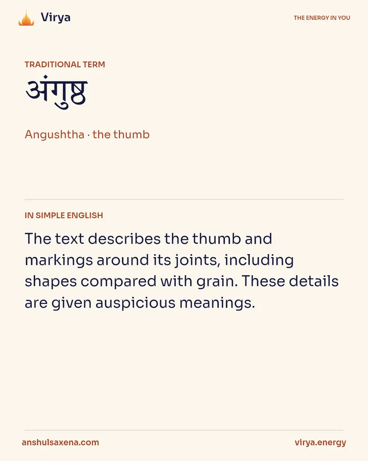 The thumb in a detailed reading, card 2 of 5