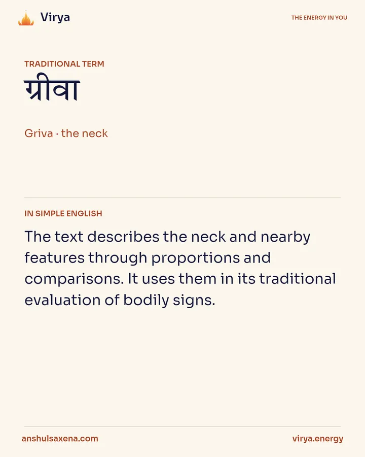 The neck and the image of dignity, card 2 of 5