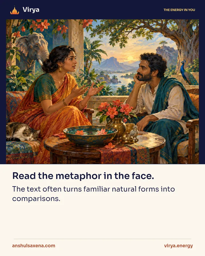 Read the metaphor in the face, card 1 of 5