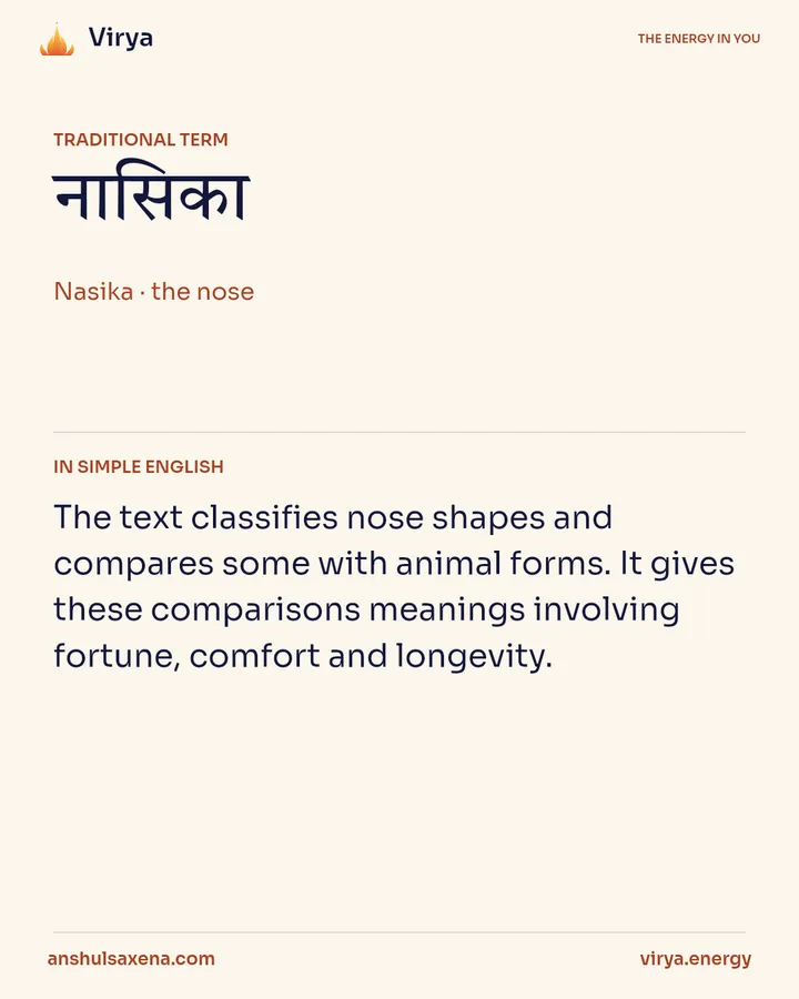 The nose in a world of comparisons, card 2 of 5