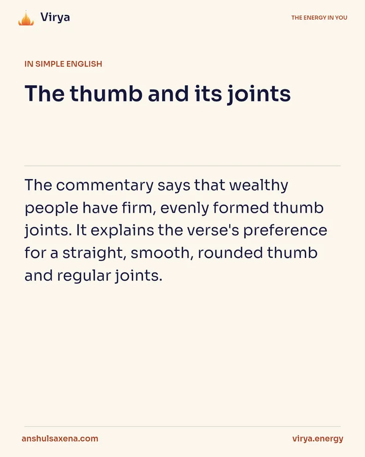 The thumb and its joints, card 3 of 6