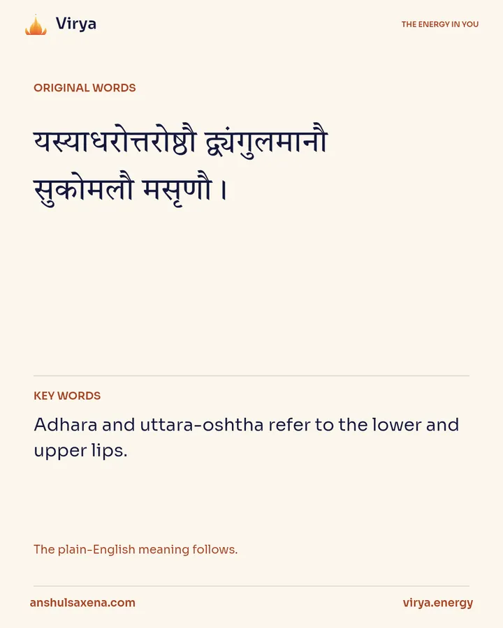 How lips were described, card 2 of 6