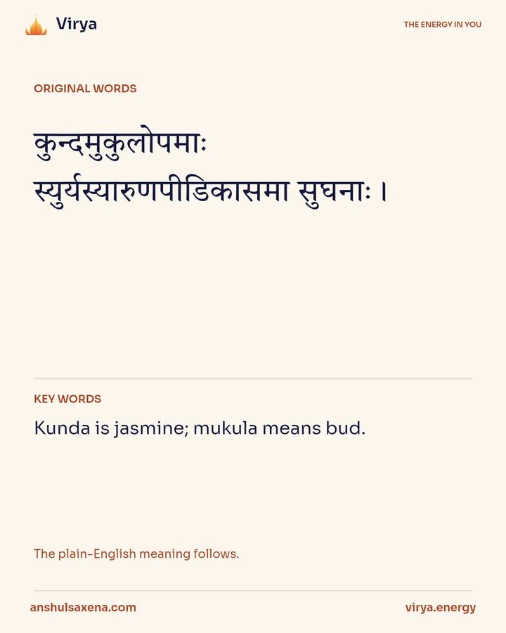 Teeth like jasmine buds, card 2 of 6