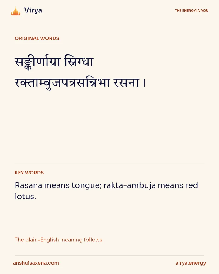 The lotus-petal tongue, card 2 of 6