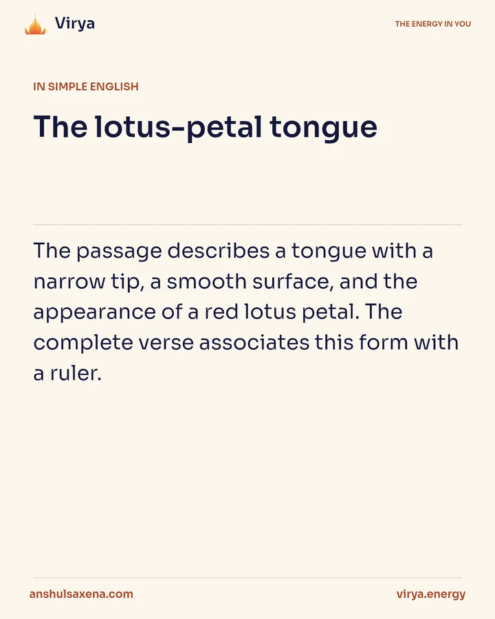 The lotus-petal tongue, card 3 of 6