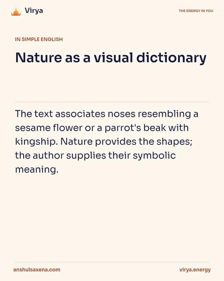 Nature as a visual dictionary, card 3 of 6