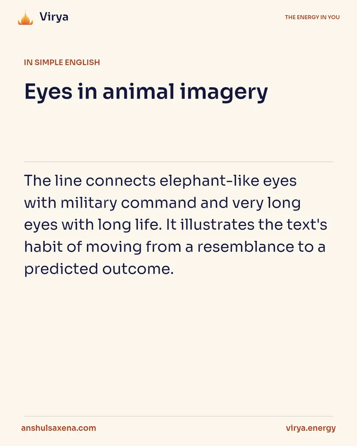 Eyes in animal imagery, card 3 of 6