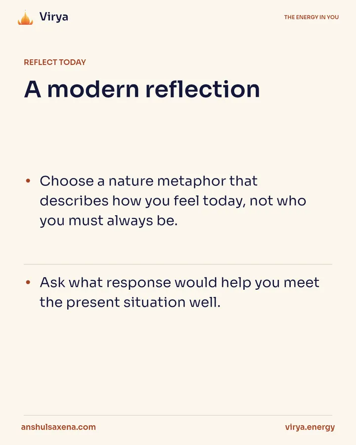 Temperament through nature imagery, card 4 of 5