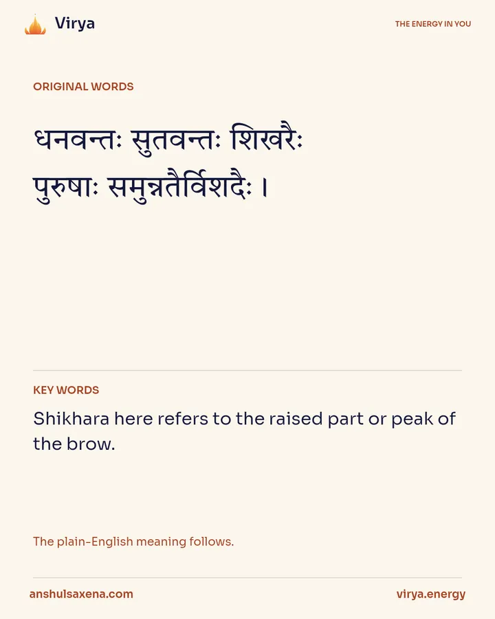 Reading the brow, card 2 of 6