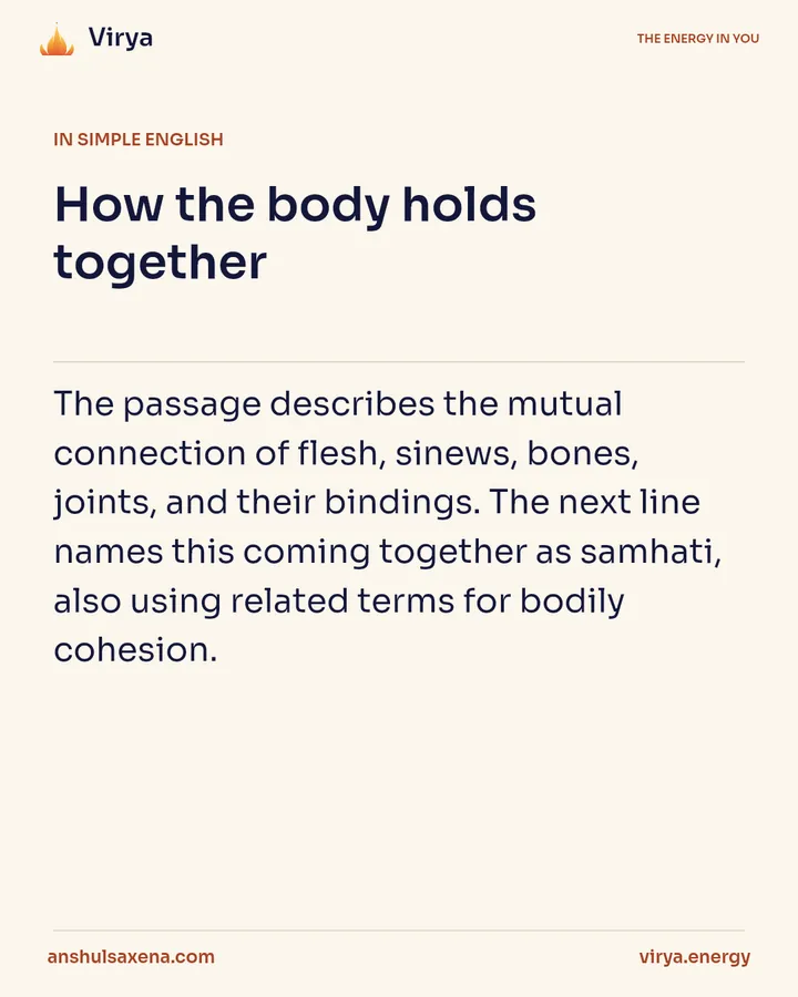 How the body holds together, card 3 of 6