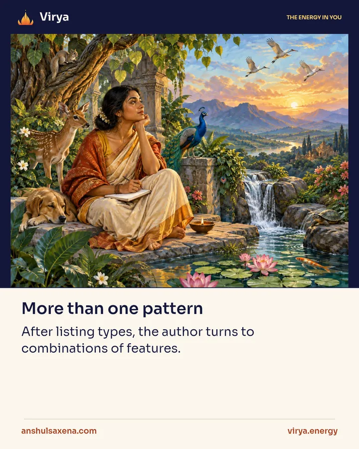 More than one pattern, card 1 of 6