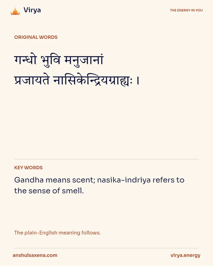 Scent as a perceived quality, card 2 of 6