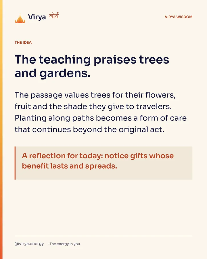 The teaching praises trees and gardens. The passage values trees for their flowers, fruit and the shade they give to travelers. Planting along paths becomes a form of care that continues beyond the original act. A reflection for today: notice gifts whose benefit lasts and spreads.