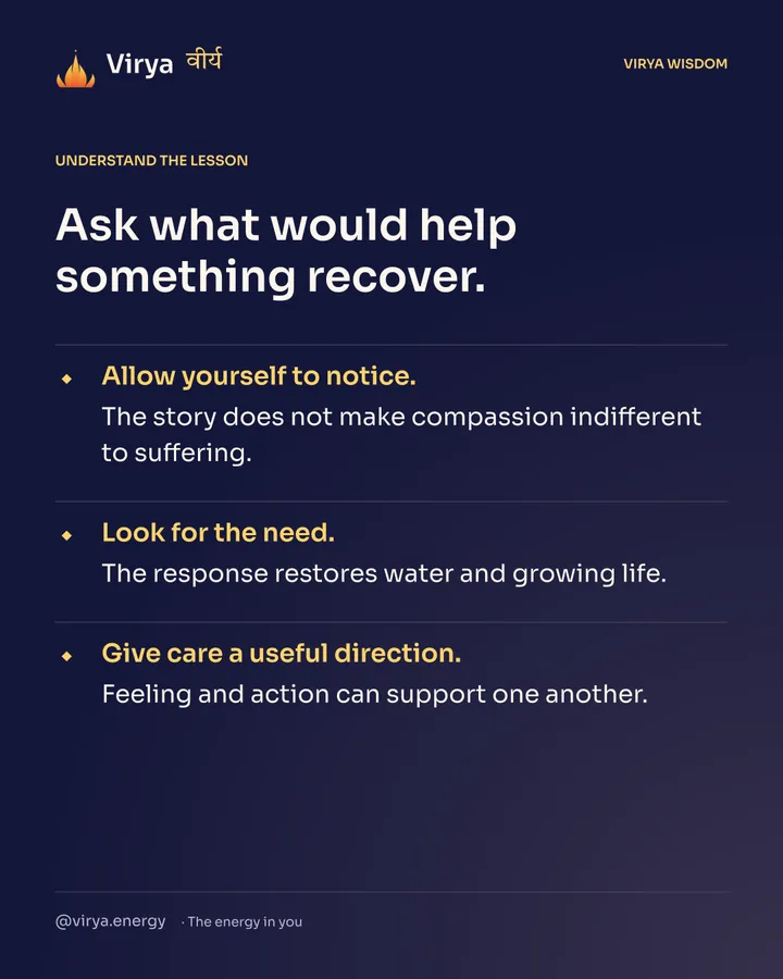 Ask what would help something recover. Allow yourself to notice. The story does not make compassion indifferent to suffering. Look for the need. The response restores water and growing life. Give care a useful direction. Feeling and action can support one another.