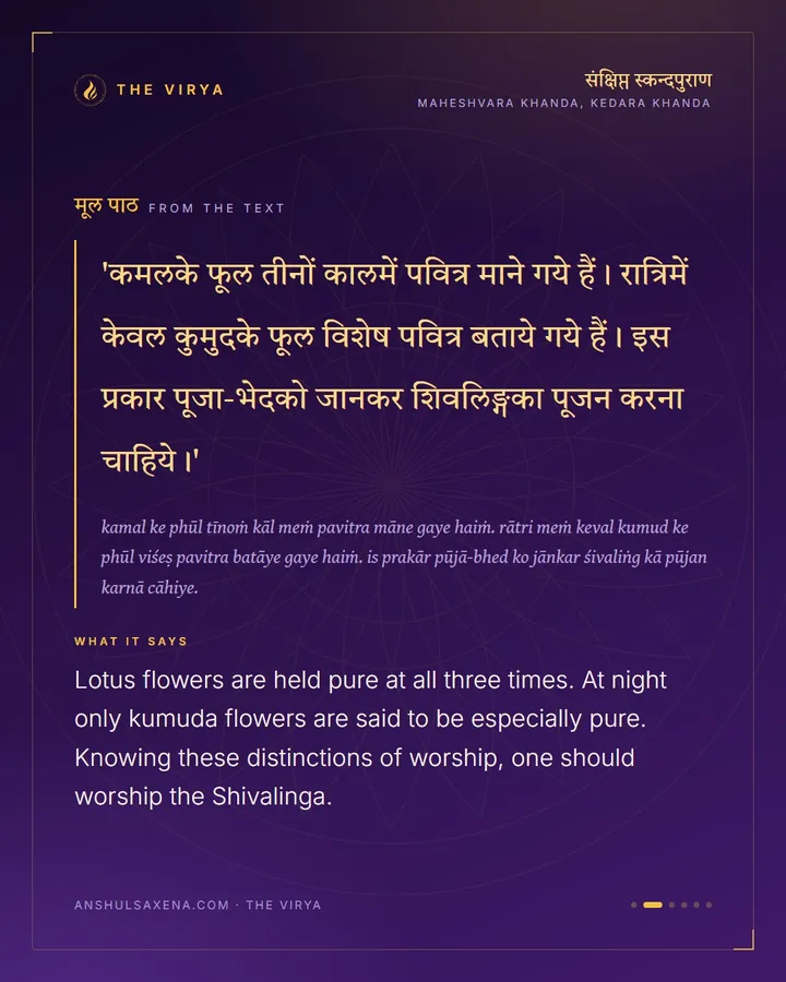 Some Flowers Only At Night, card 2 of 6