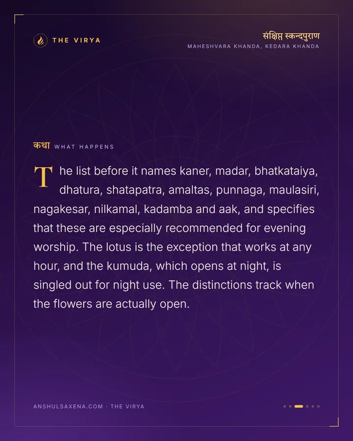 Some Flowers Only At Night, card 3 of 6