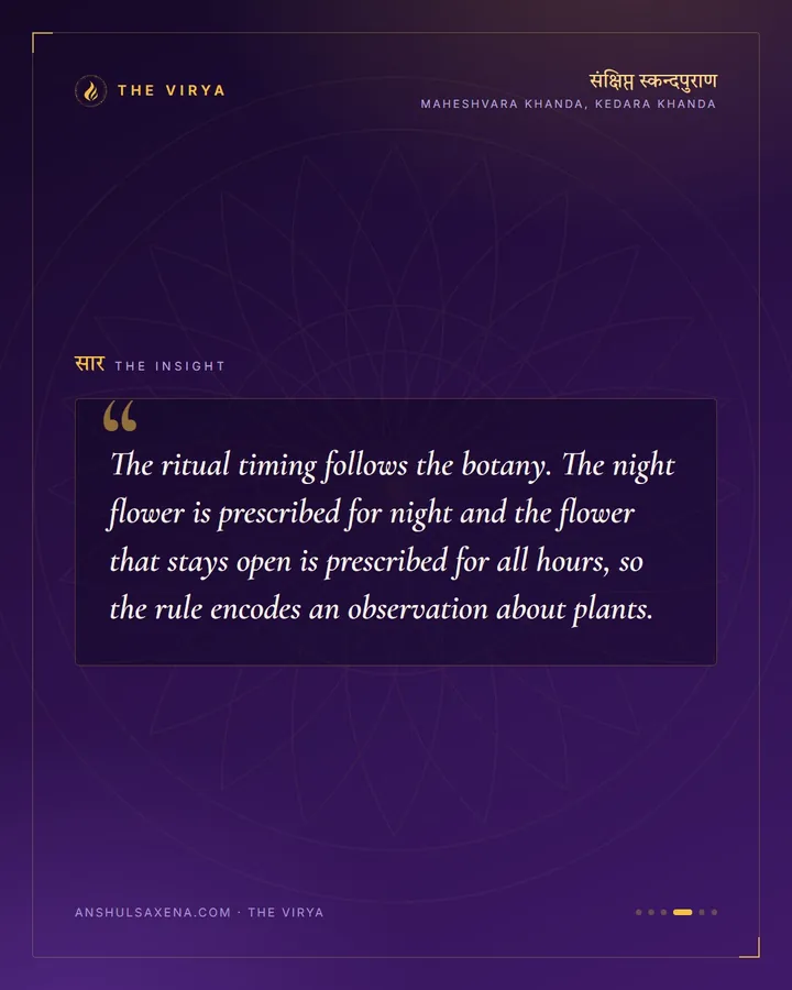 Some Flowers Only At Night, card 4 of 6
