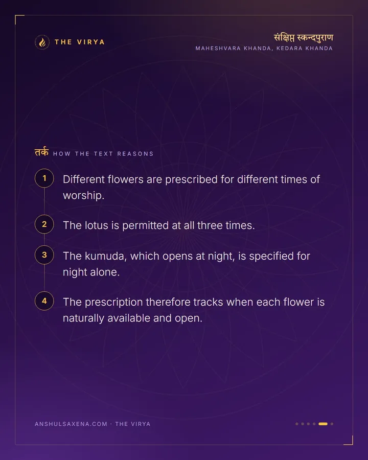 Some Flowers Only At Night, card 5 of 6