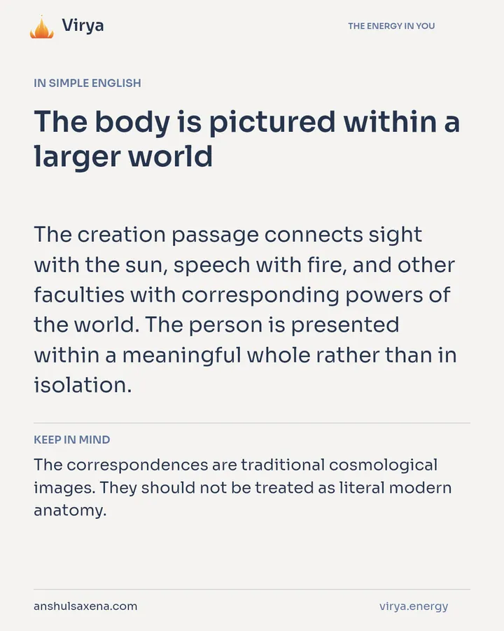 The body is pictured within a larger world, card 3 of 7