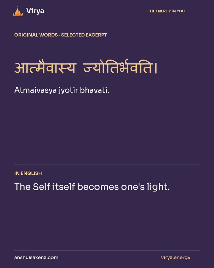 What makes experience knowable?, card 2 of 7