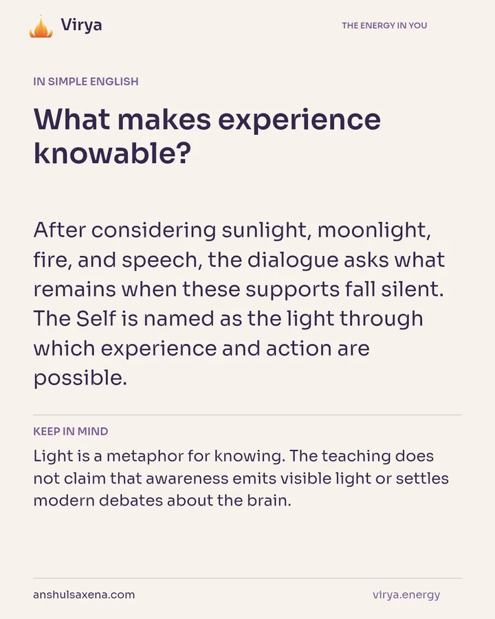 What makes experience knowable?, card 3 of 7