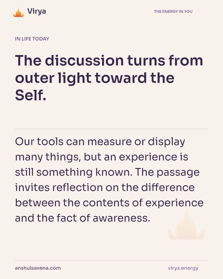 What makes experience knowable?, card 5 of 7