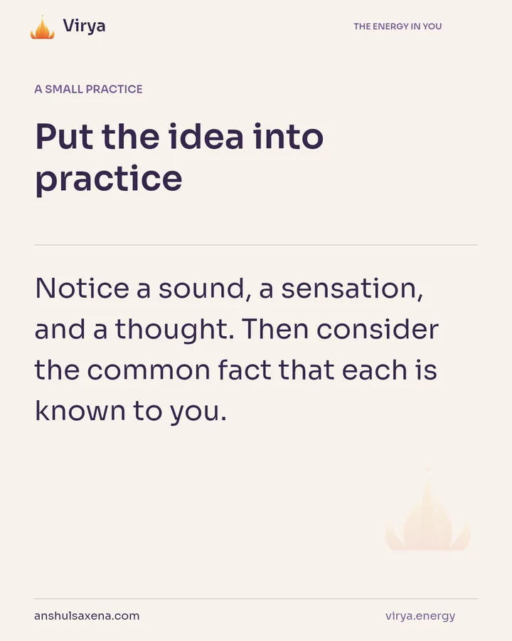 What makes experience knowable?, card 6 of 7