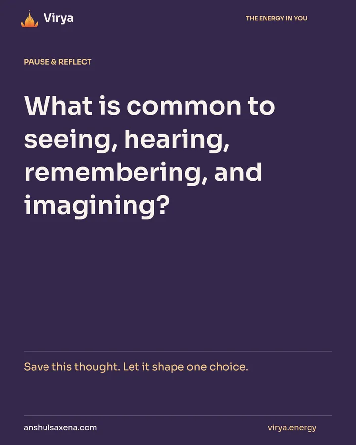 What makes experience knowable?, card 7 of 7