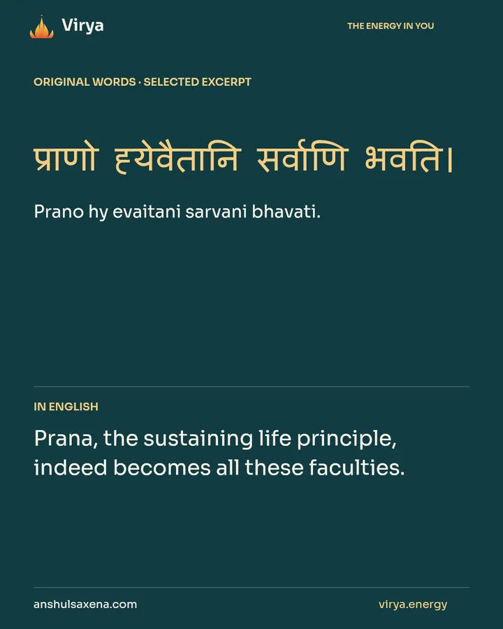 Notice what quietly supports you, card 2 of 7