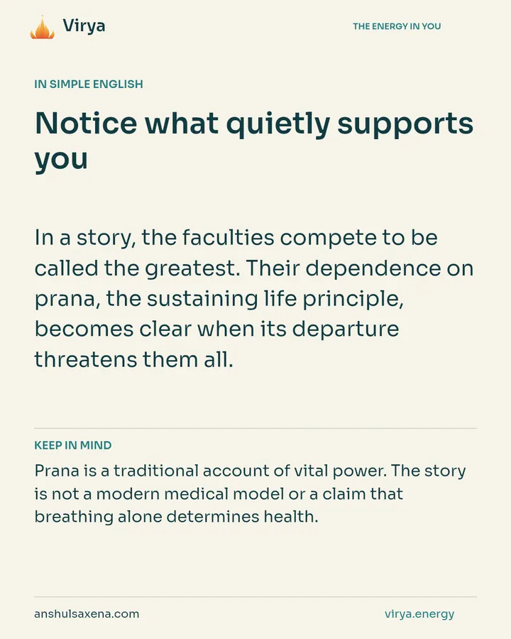 Notice what quietly supports you, card 3 of 7