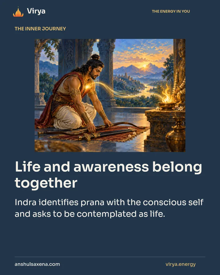 Life and awareness belong together, card 1 of 7