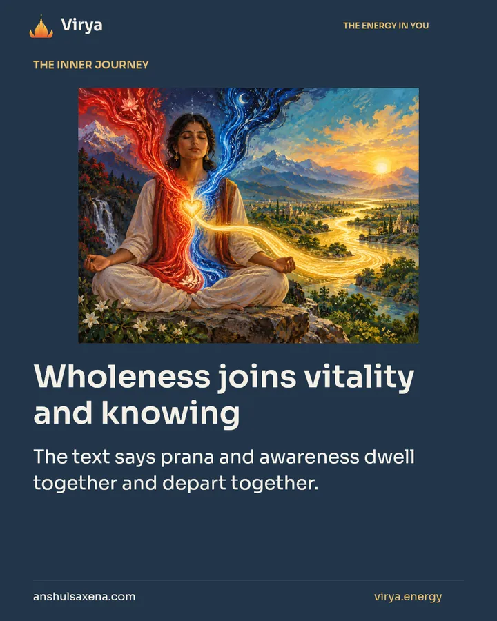 Wholeness joins vitality and knowing, card 1 of 7