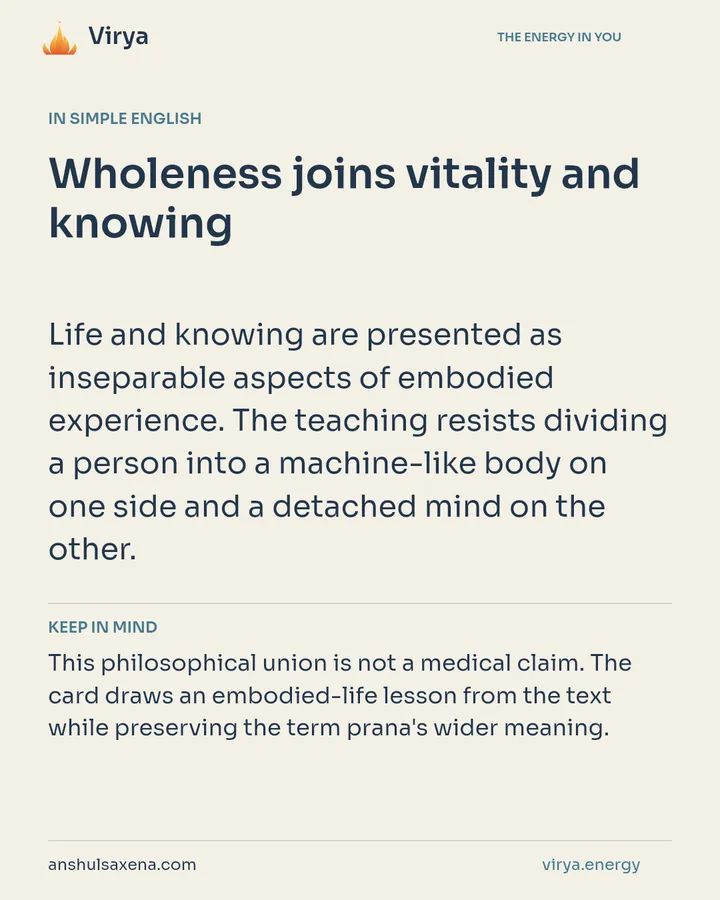 Wholeness joins vitality and knowing, card 3 of 7