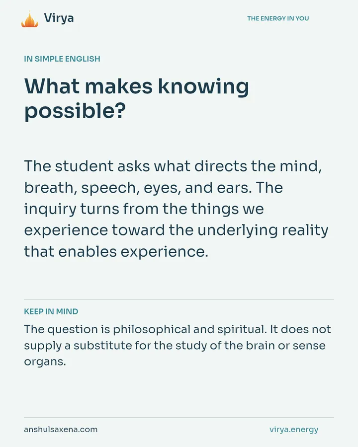 What makes knowing possible?, card 3 of 7