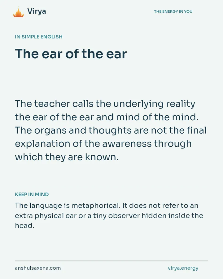 The ear of the ear, card 3 of 7