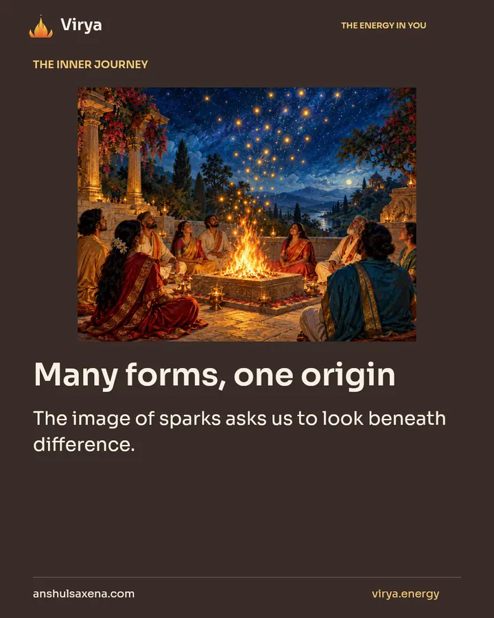 Many forms, one origin, card 1 of 7