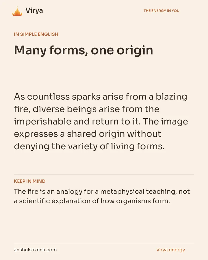 Many forms, one origin, card 3 of 7