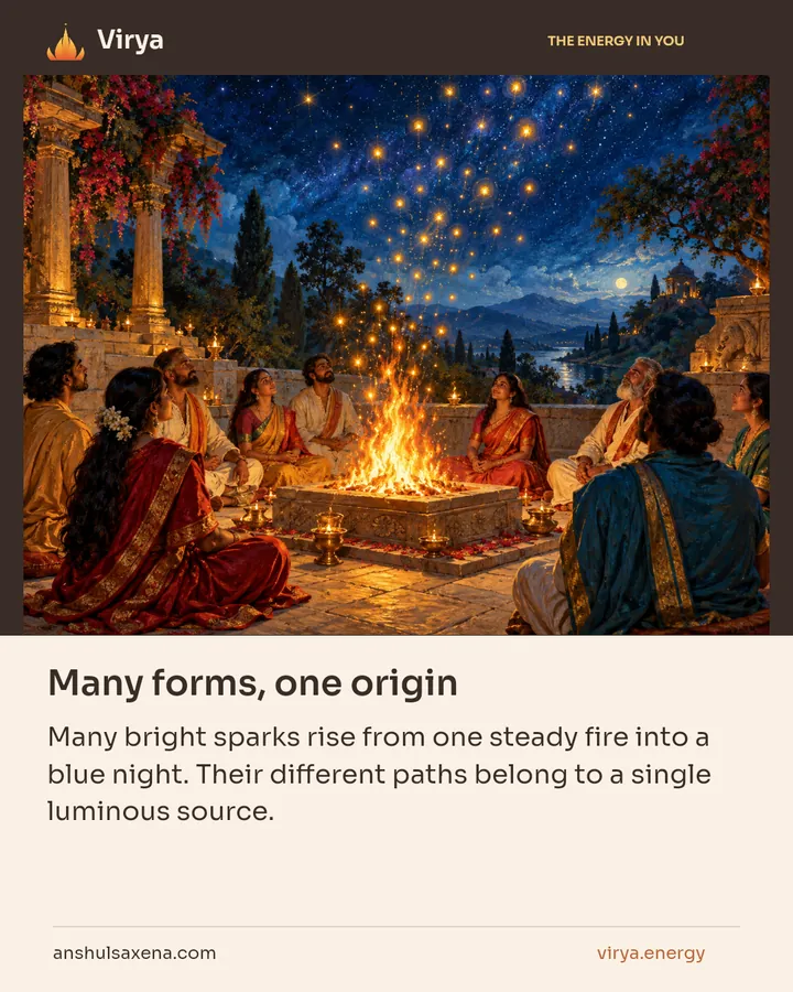 Many forms, one origin, card 4 of 7
